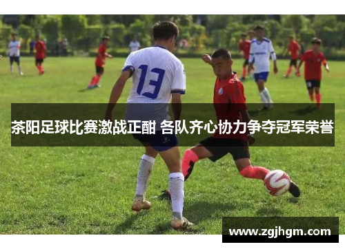 茶阳足球比赛激战正酣 各队齐心协力争夺冠军荣誉